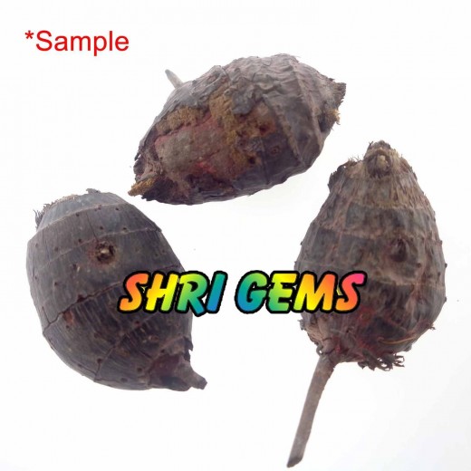 Mantra Siddha Patal Tumdi Big